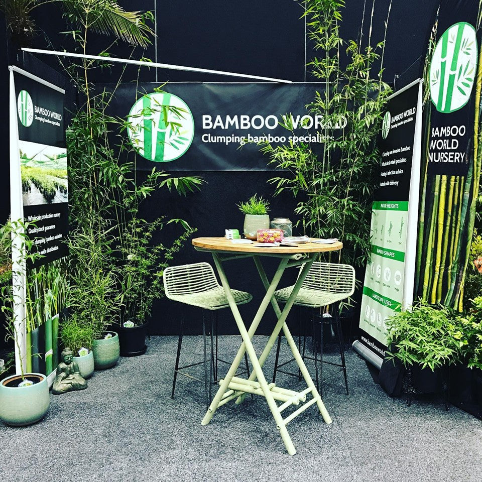 Hiring Plants for your next BIG EVENT! — Bamboo World Nursery
