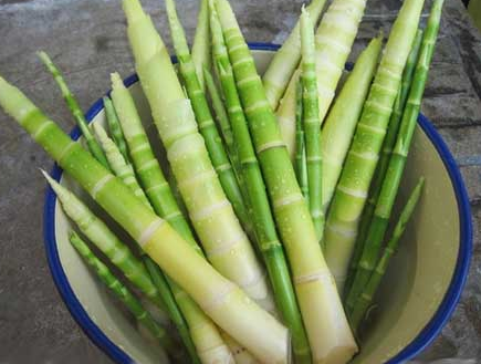 EDIBLE BAMBOO FOR THE DINNER TABLE